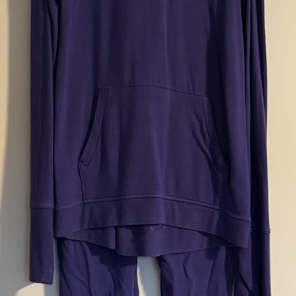 All in Motion Violet Matching Thin Sweatsuit